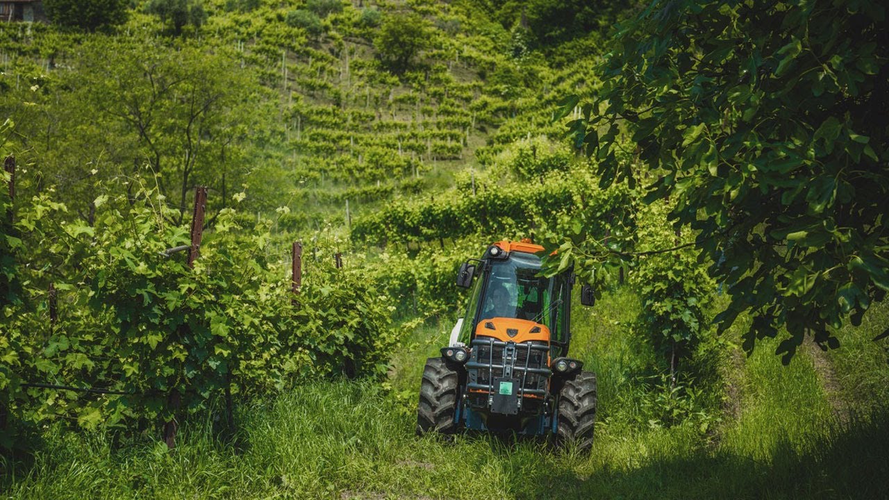 Futuro sostenibile in vigna: le voci dei protagonisti