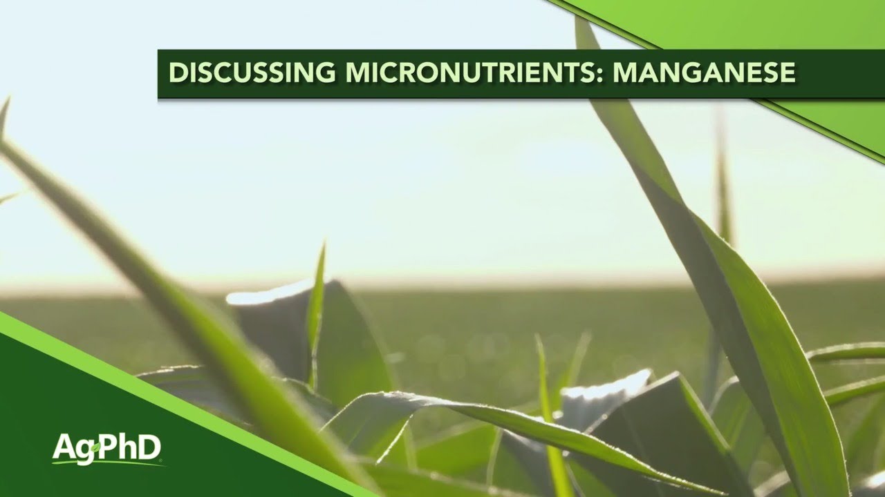 Manganese (From Ag PhD Show #1131 - Air Date 12-8-19)