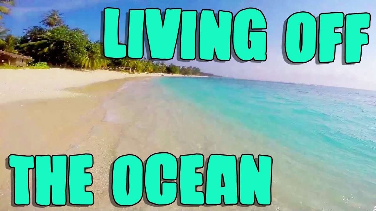 Freediving in the Mentawai Islands in front of Lance's Right Surf spot (no spearfishing)