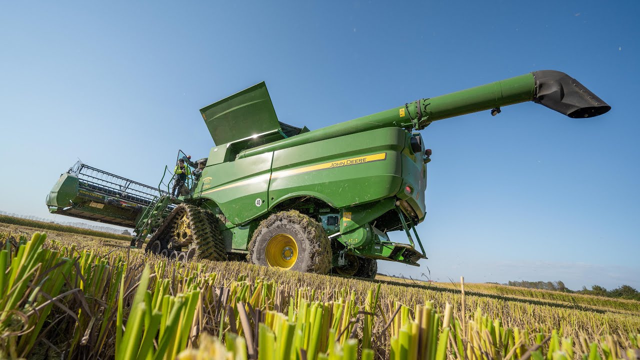Обмолот риса Карнароли в Италии 🌾 John Deere S770i | Фазан