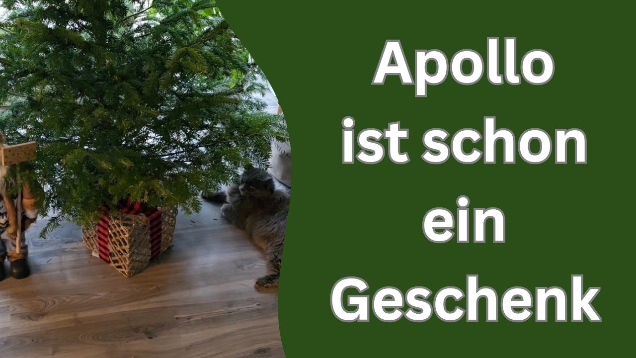 Heute geht's mir nicht so gut aber ich wollte euch trotzdem etwas mitteilen