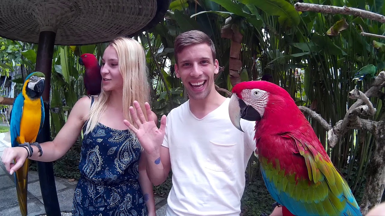 Bali Trip