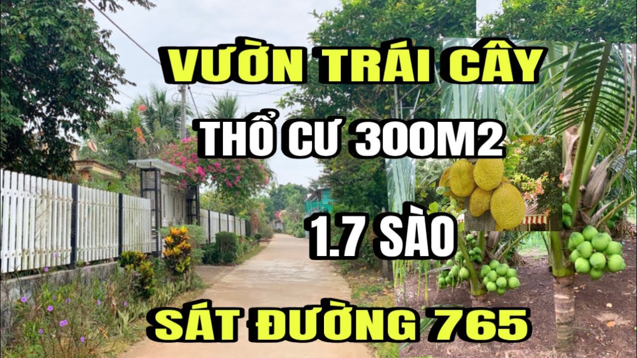 Chính chủ bán gấp vườn trái cây, 1.7 sào, thổ cư 300M2, Sát đường 765, khu dân cư, Huyện cẩm mỹ cũ
