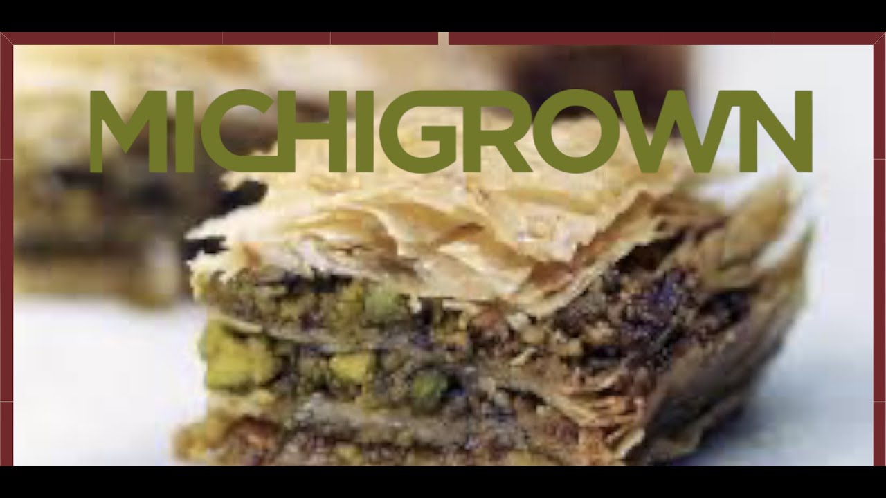 BAKLAVA from MICHIGROWN FULL STRAIN REVIEW