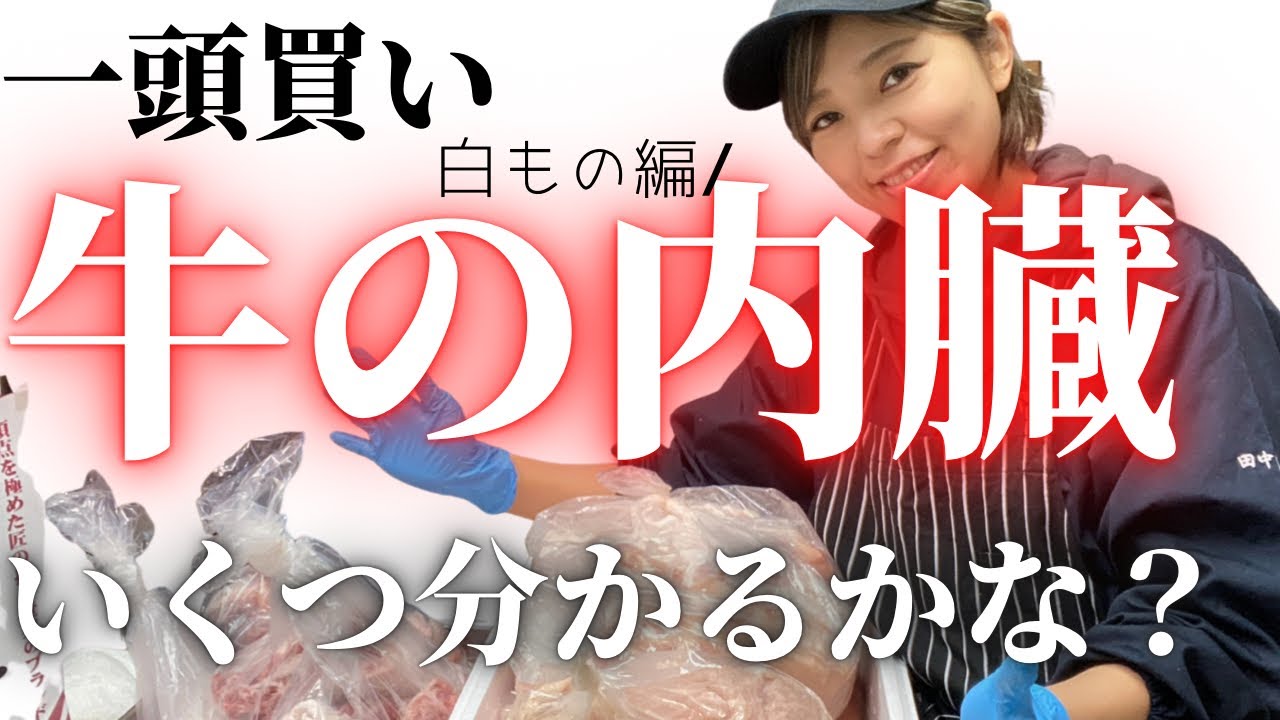 【必見！】白いホルモン大集合