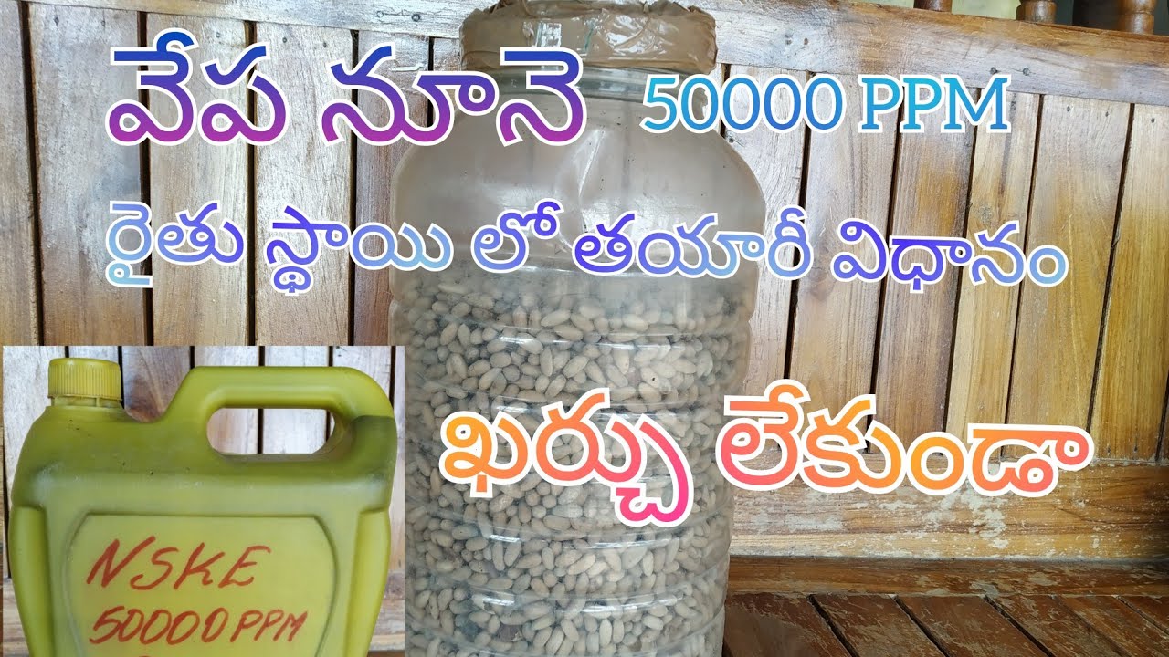 రైతు స్థాయి లో వేప నూనె తయారీ# NSKE 50000 PPM # ప్రయోజనాలు# వాడవలసిన విధానం#EJR AGRICULTURE
