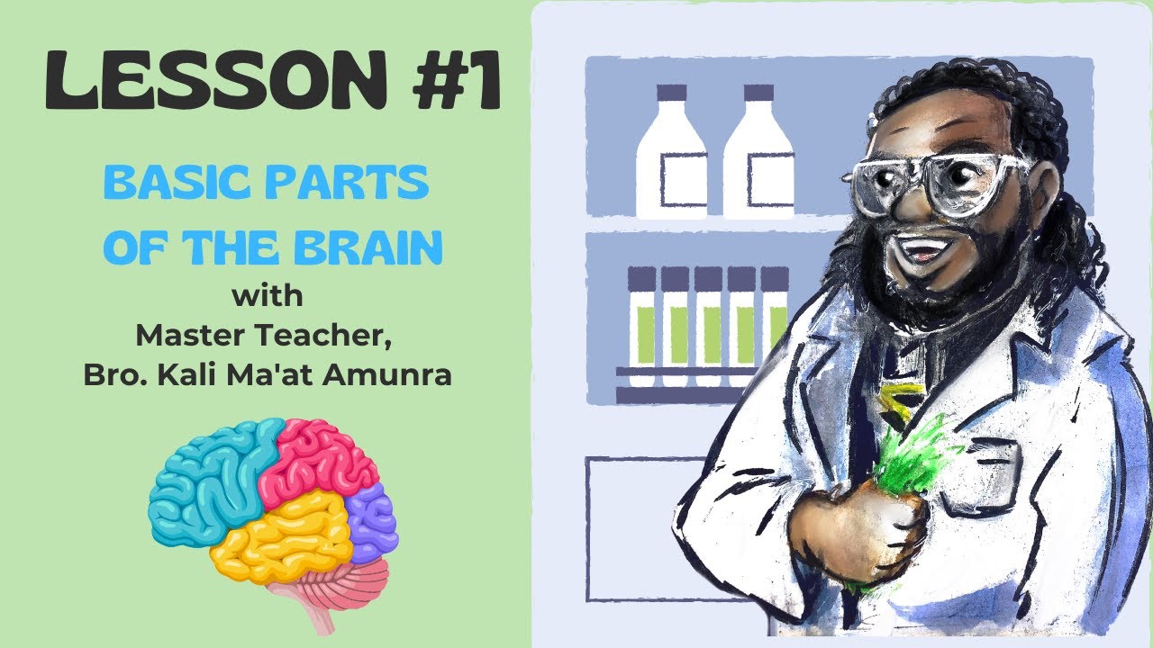 Learn the Basic Parts of the Brain with Kali Ma'at Amunra - Health & Development of a Child's Brain