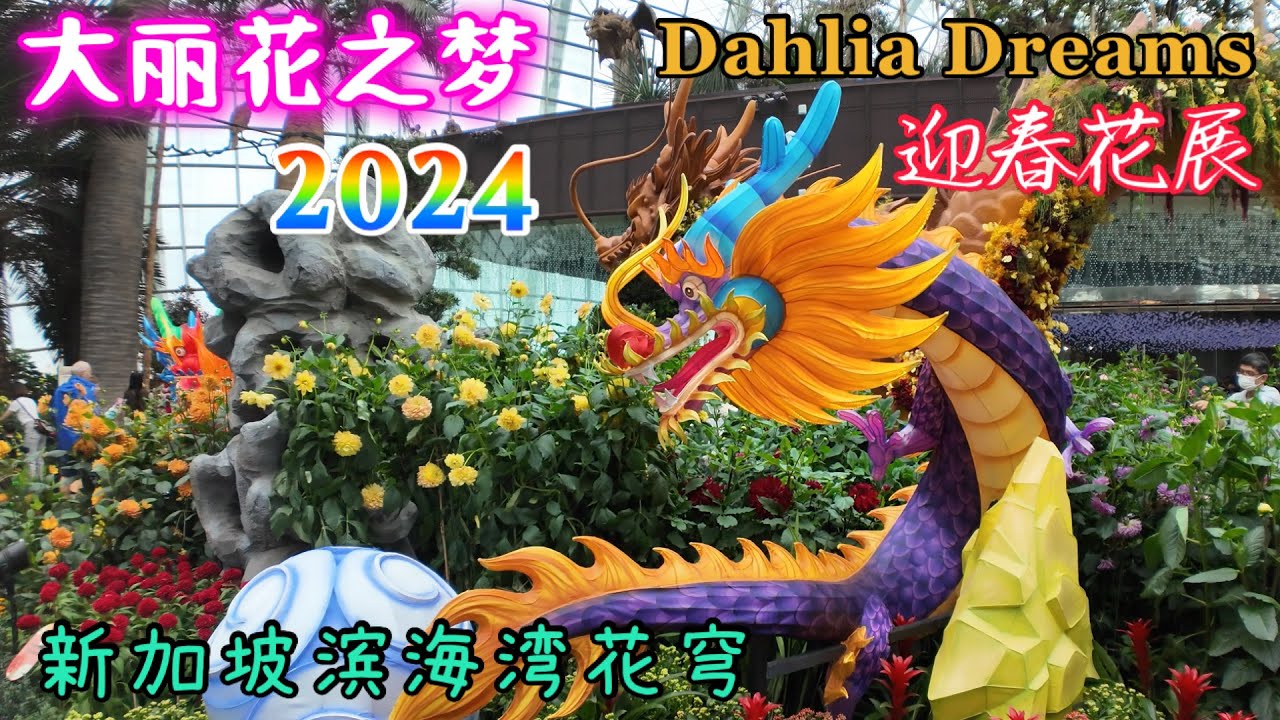 大丽花之梦2024， 展出了超过1000朵的大丽花。花圃中还有一座代表木龙年的龙形装饰，长15米、高7米，其中龙鳞是由园艺师带领本地失智症机构的患者与看护者，一起用鲜花及干燥花制作而成。（滨海湾花穹）