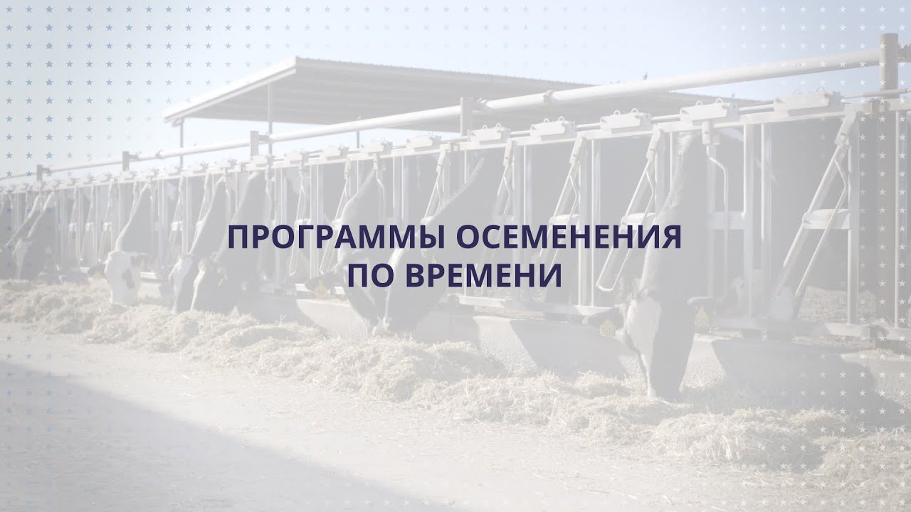 USLGE | Beef and Dairy | Timed Insemination Programs in Dairy Cattle (Russian)