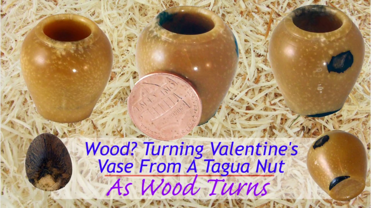 Woodturng A Valentines Vase From A Tagua Nut