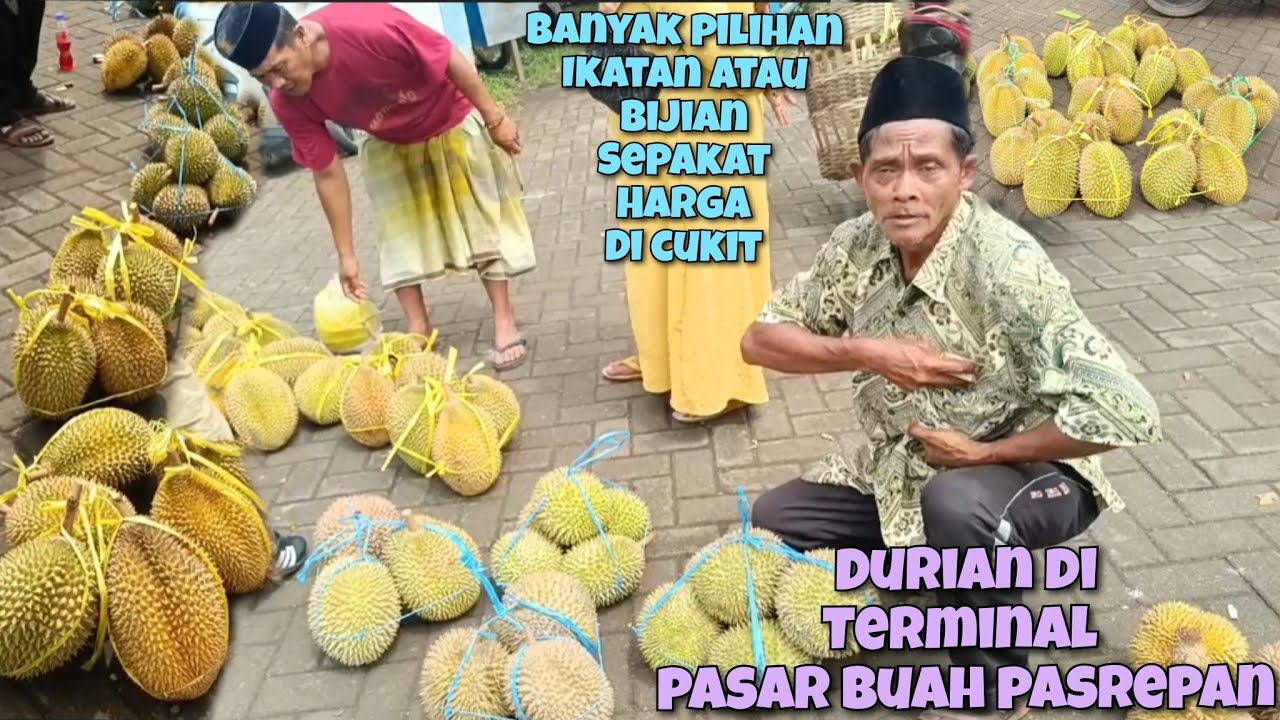 Hari senin update harga durian di dalam terminal pasar buah pasrepan kabupaten pasuruan