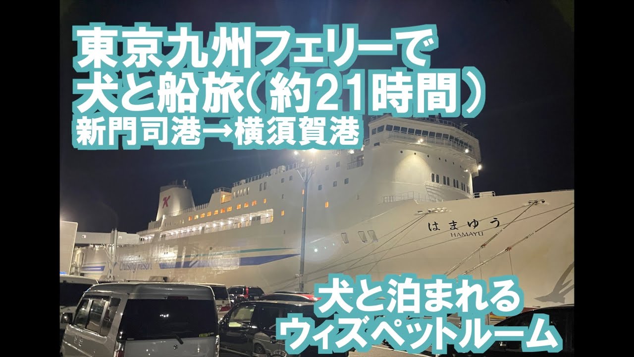【愛犬と船旅】東京九州フェリーで愛犬と船旅（21時間）ウィズペットルームに泊まってみた。