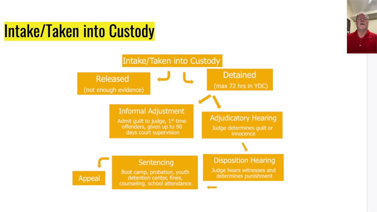 Steps of the Juvenile Justice Process