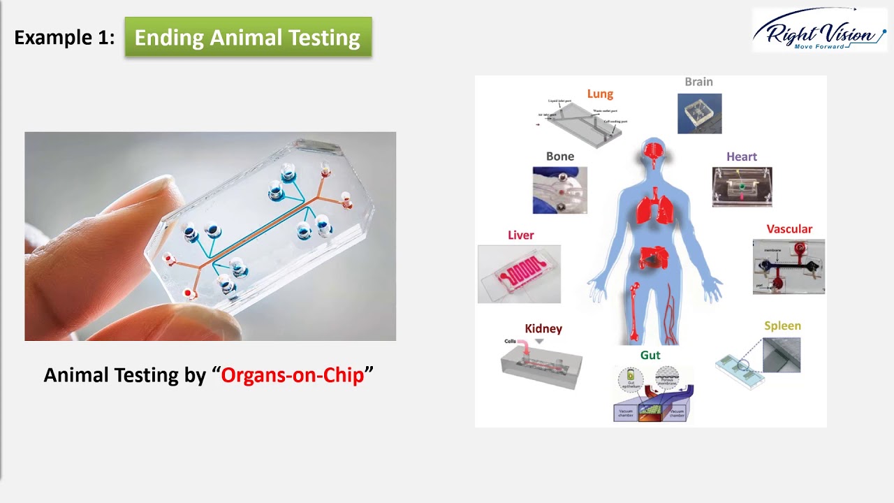 Nanotechnology, Benefits, Applications, and Perspective