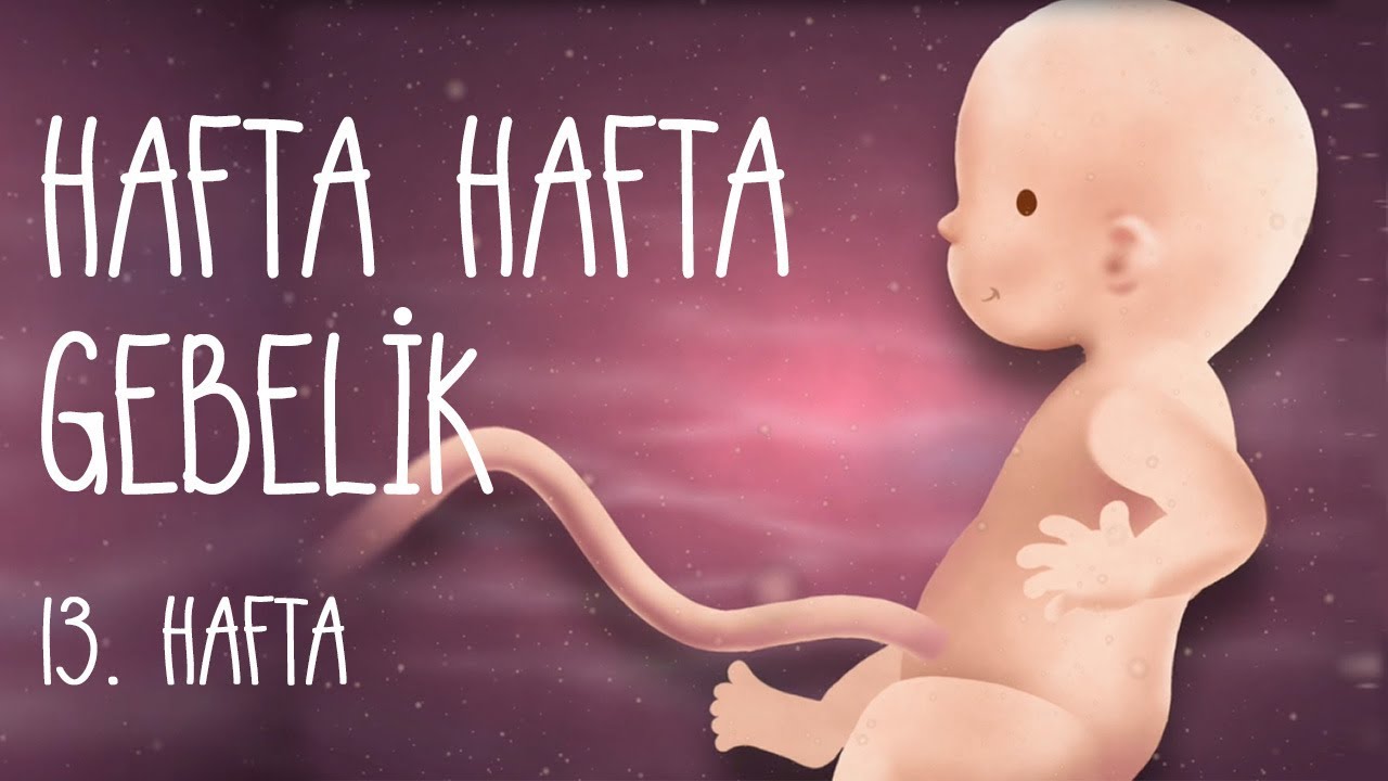 Hafta Hafta Gebelik 13. hafta