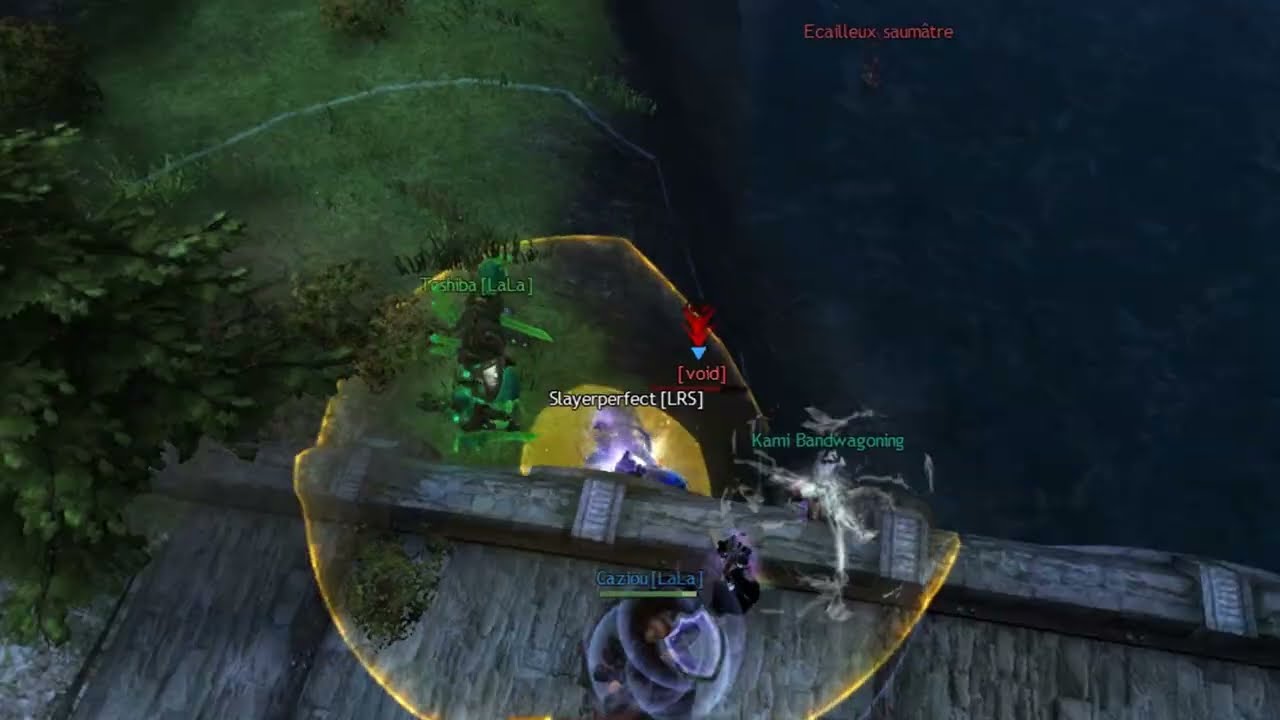 Boon Heal Thief / Specter . Big Farm on Guild Wars 2 WvW