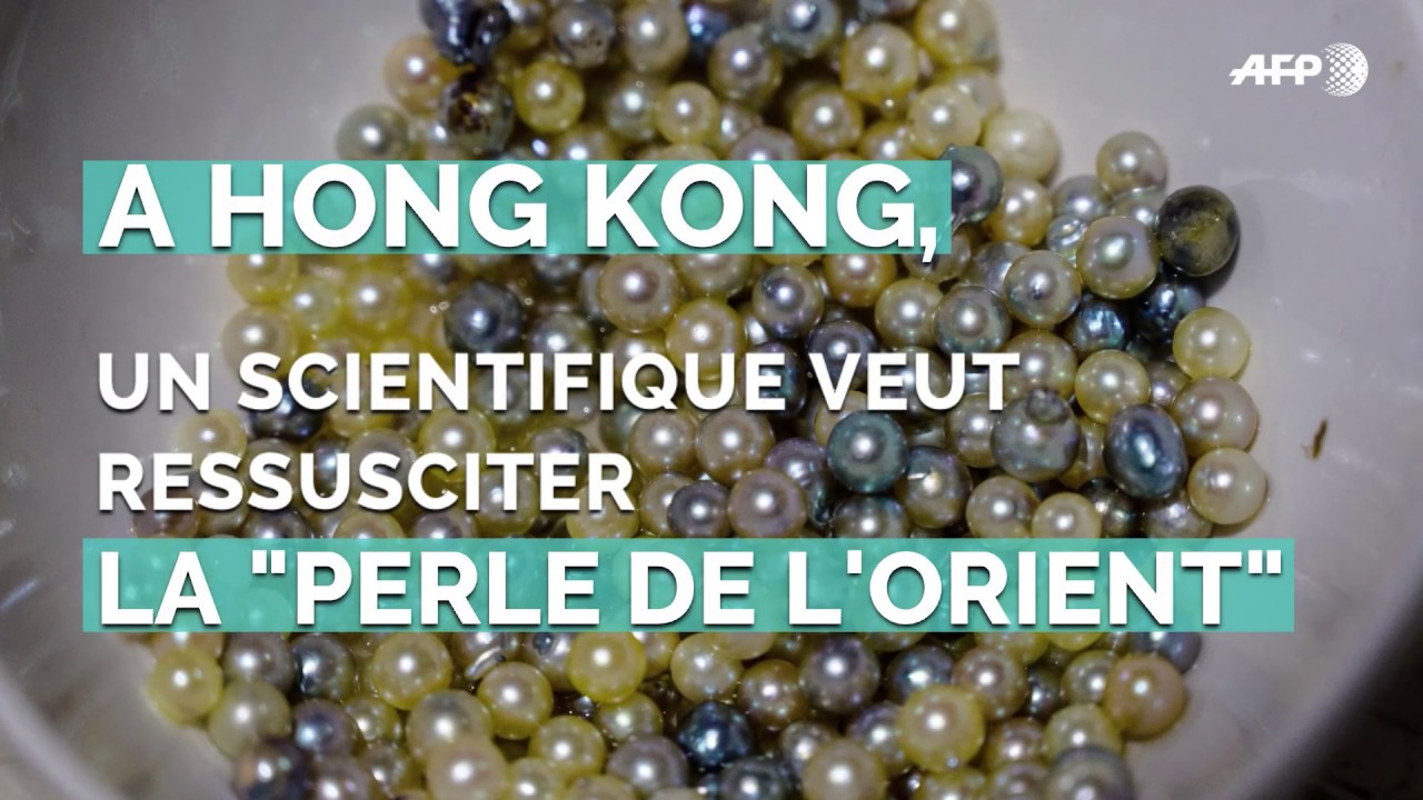 Comment un scientifique hongkongais compte ressusciter la 