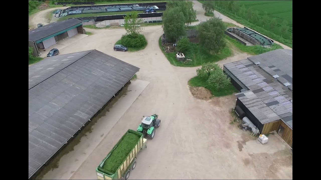 agriKULTUR: David - Gras für die Kühe