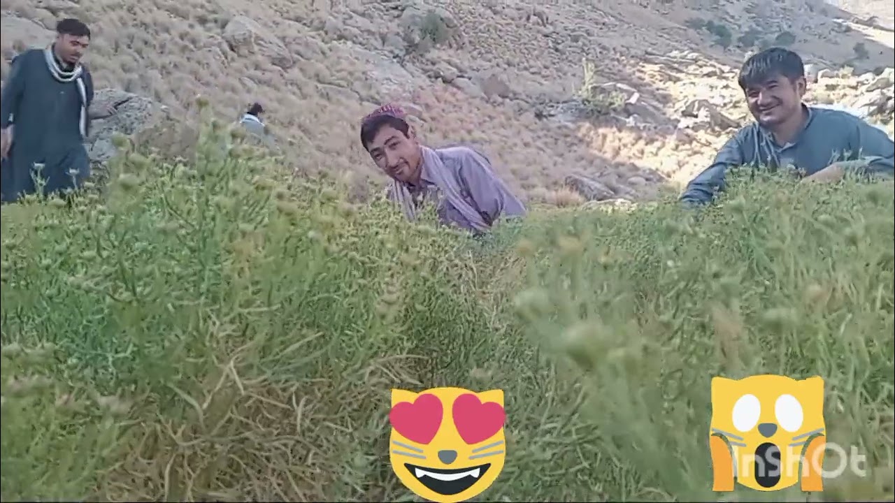 ۲۴ ژوئیهٔ ۲۰۲۵
