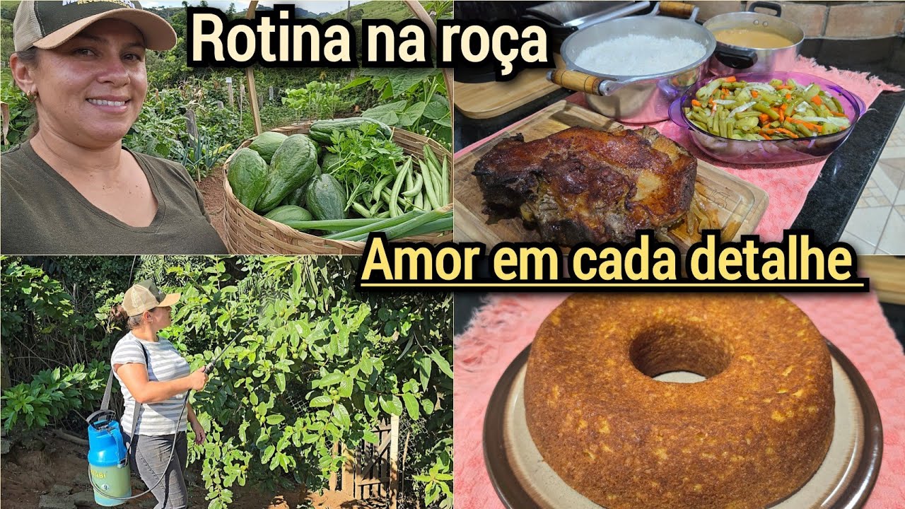 CUIDANDO DOS PÉS DE FRUTA/BOLO SEM TRIGO/CARNE ASSADA/COLHEITA PRA UMA SALADA DE LEGUMES DELICIOSA
