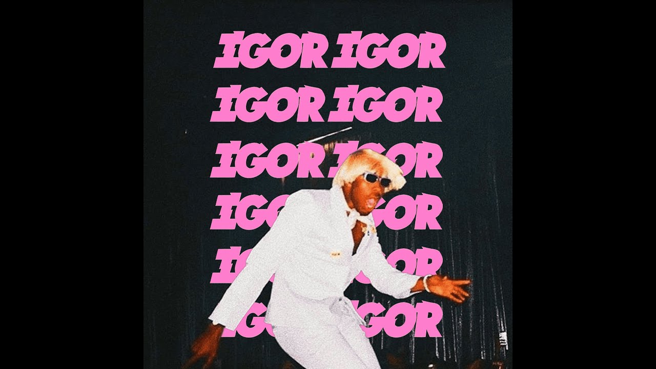 TYLER, THE CREATOR IGOR TYPE BEAT  