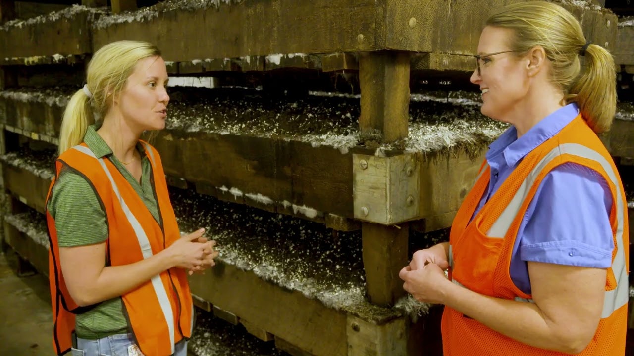 Mushroom Production at J-M Farms