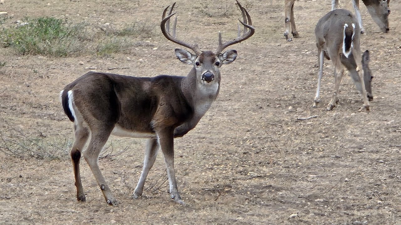 JH Ranch 2025