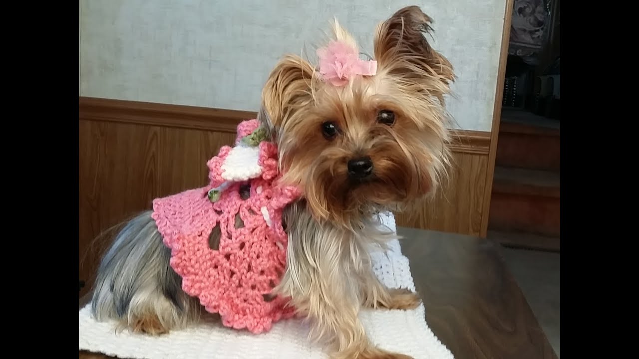 Crochet 