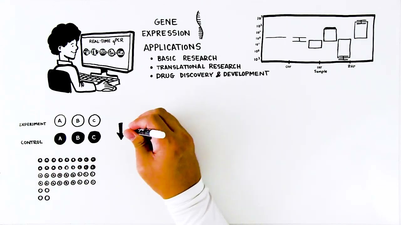PrimePCR Assays: The Importance of Controls