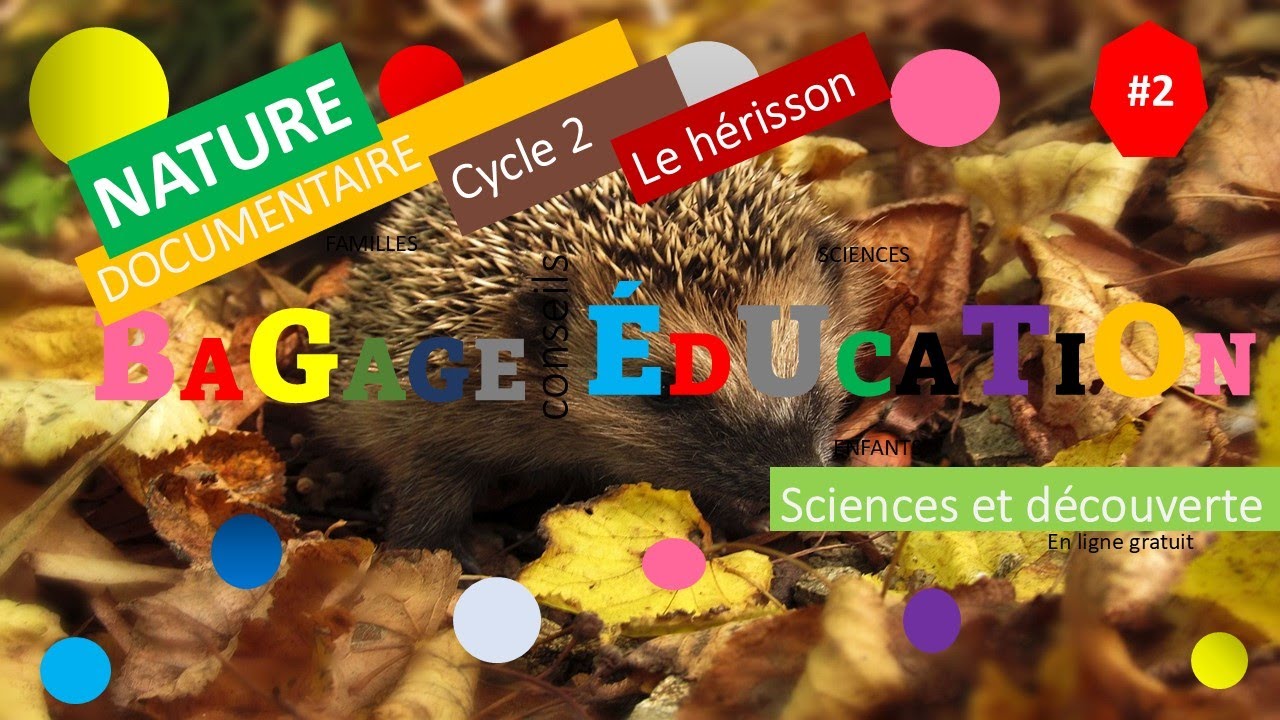 Le hérisson🦔🌳 Documentaire🎥