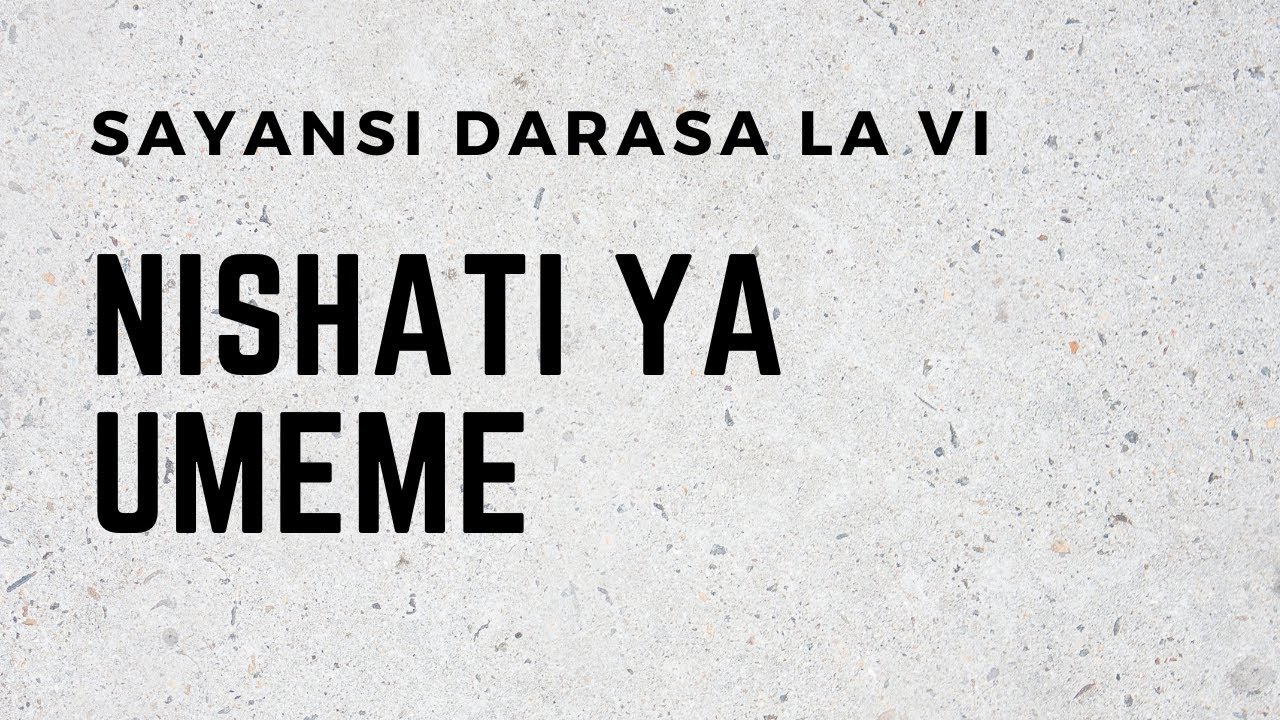 SAYANSI DARASA LA VI  NISHATI YA UMEME