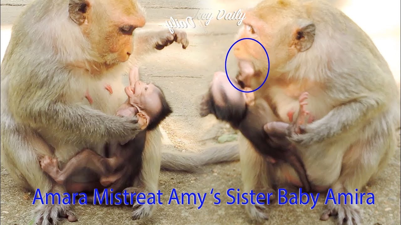 Terrible Mistreat So Mean To Amy 's Sister Baby Amira By Mama Amara Like As Amara Done To Amy Before
