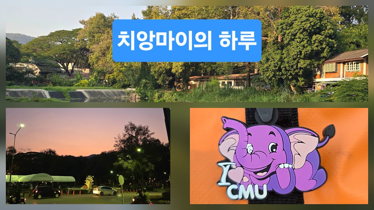 치앙마이의 하루: 카오소이 매싸이- 아르떼 카페 - 치앙마이대학교(우체국, 도서관, 푸드코드, 앙깨우호수) - 야시장