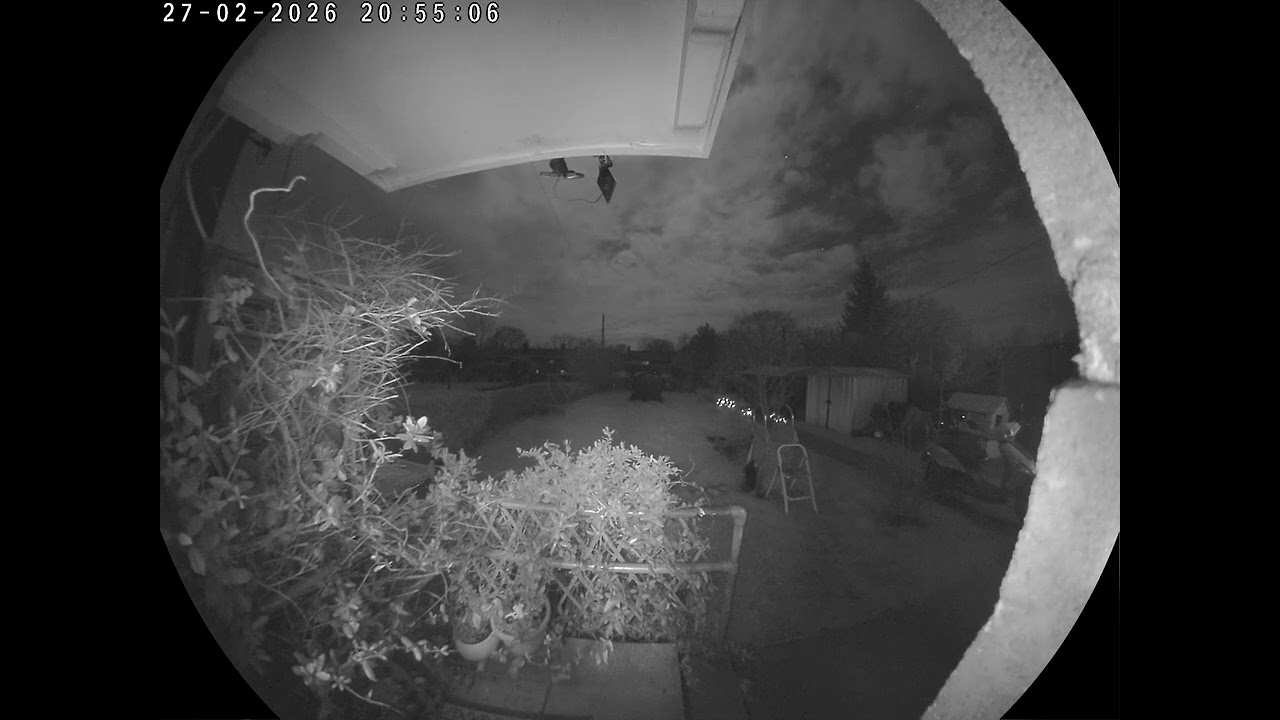 3.00 7.00 9.00 12.00 approx