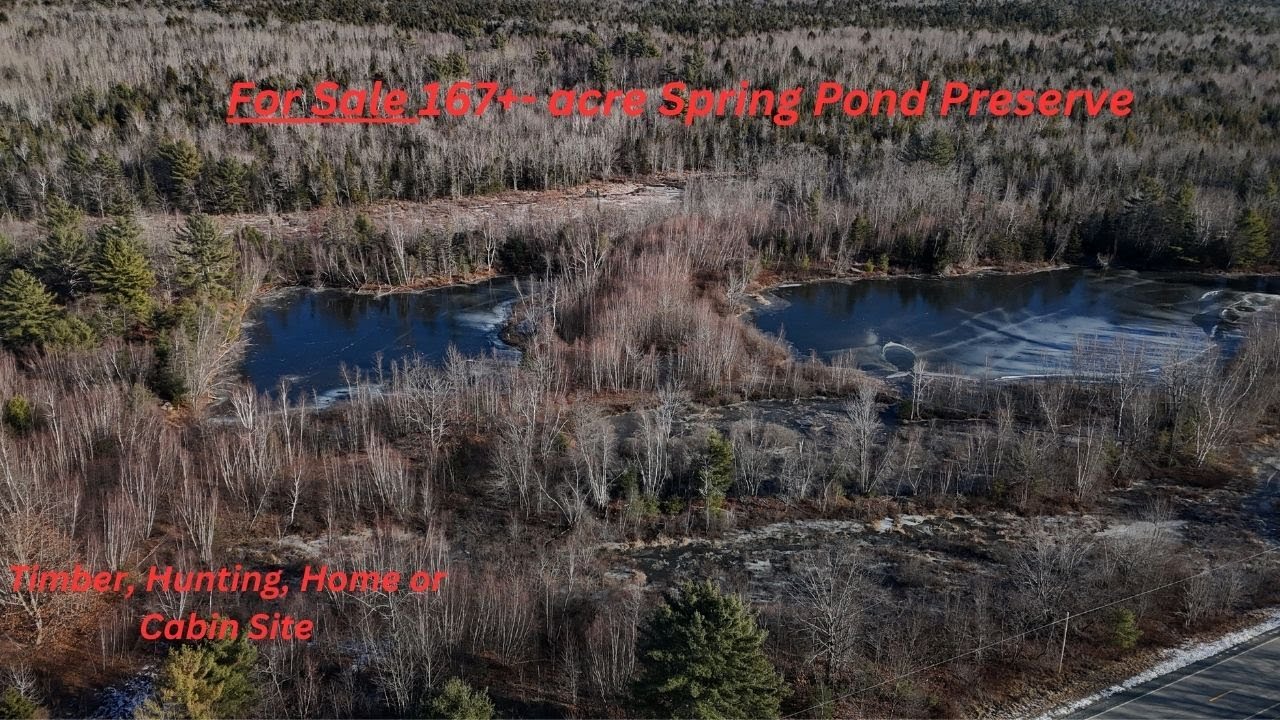Maine Hunting and Timberland Home Site for Sale-SOLD