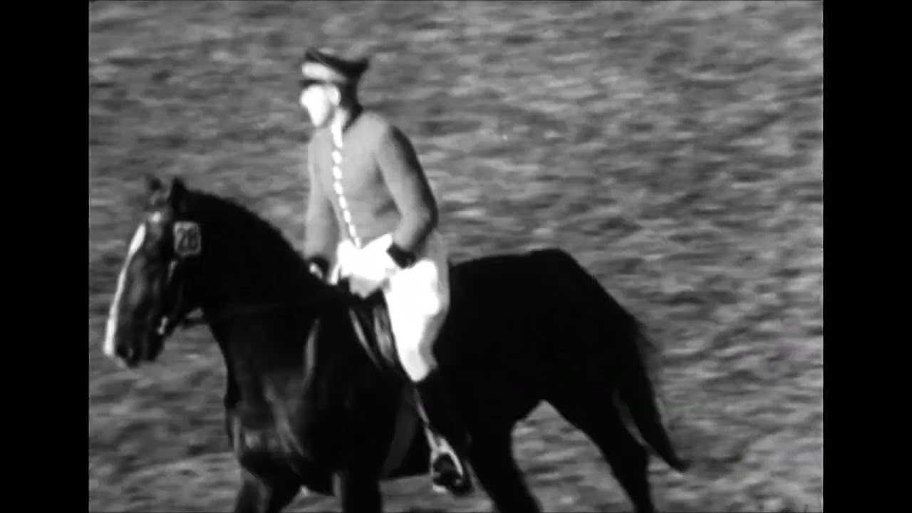 Zeitreise zu Pferd: Die Celler Hengstparade 1955 - Teil 2