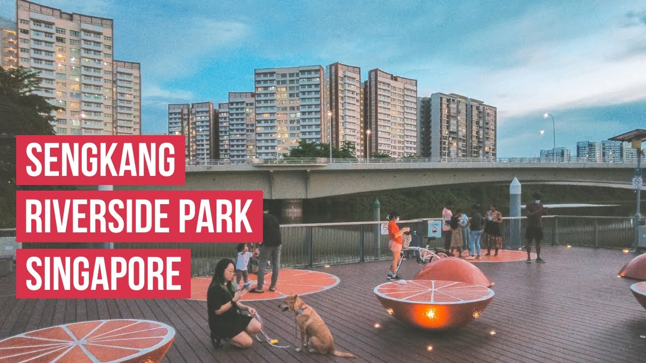 🇸🇬 Taking a Stroll and Enjoy the Sunset at Sengkang Riverside Park | Life In Singapore 2022 [4K HDR]