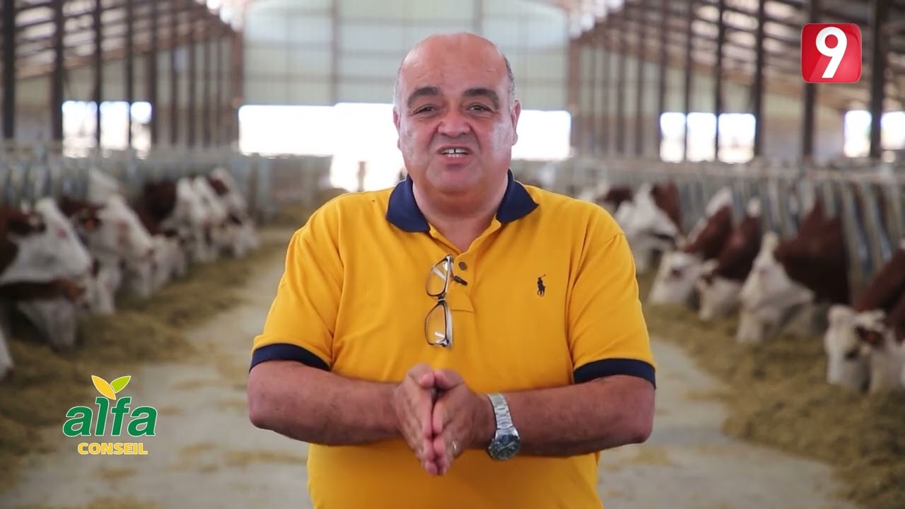 السانية S02 EP40 P02