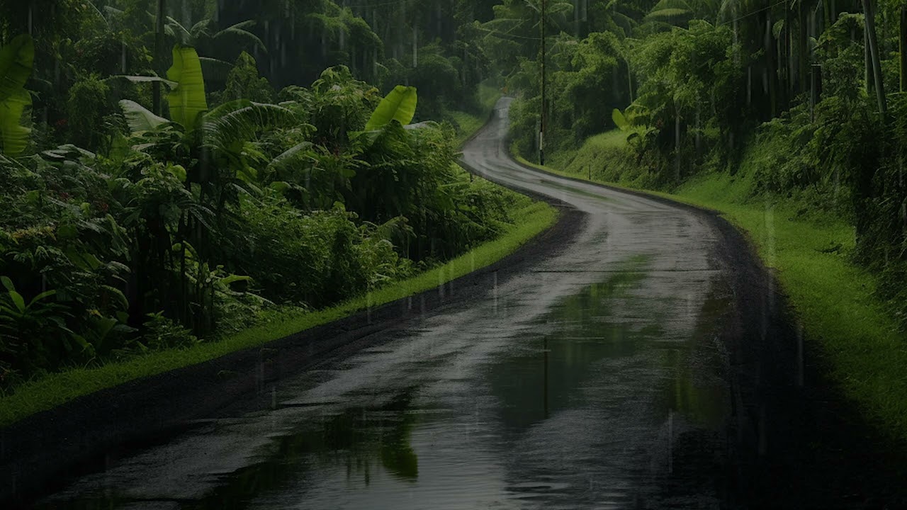 Sons de Pluie Tropicale et criquets en Guadeloupe - Sons Relaxants pour sommeil Profond en 30 min
