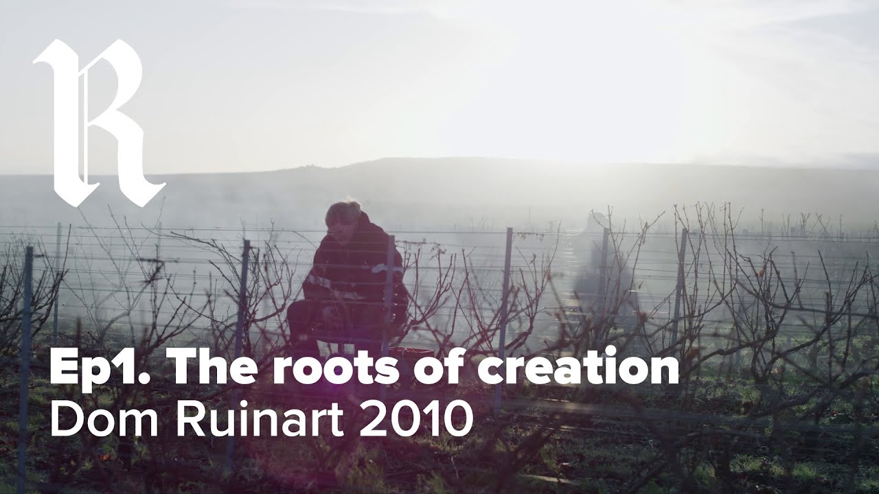 DOM RUINART 2010 | Ep. 1 The Roots of Creation