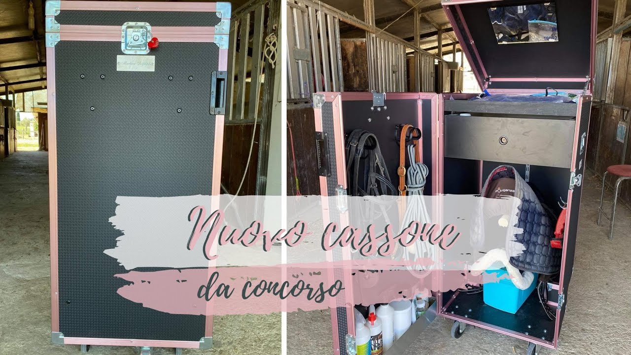 Cosa c'è nel mio NUOVO CASSONE DA CONCORSO || Martina Serfilippi
