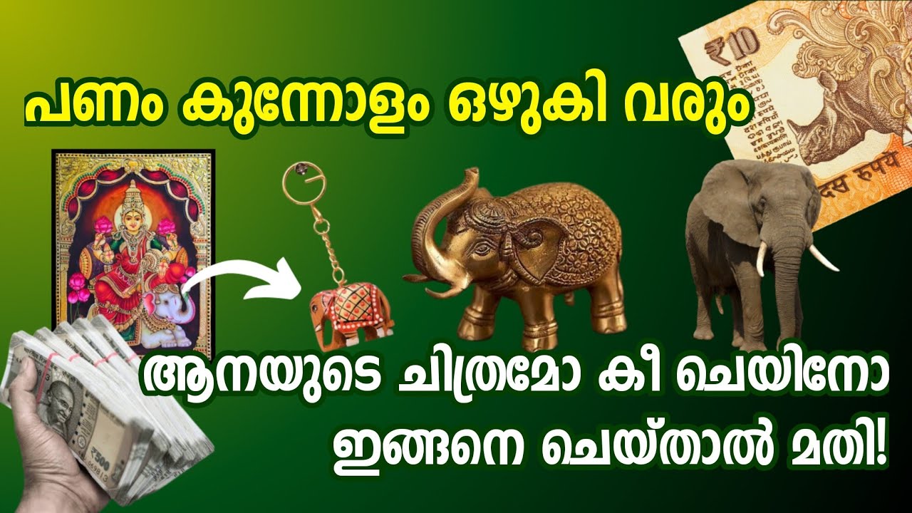 ആനയുടെ ചിത്രമോ കീചെയിനോ പണത്തെ ആകർഷിക്കും എങ്ങനെ എന്നറിയേണ്ടേ?