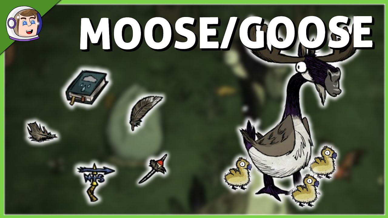 Proč je tak důležit&aacute; Moose/Goose? | Don't Starve Together | Boss Tutori&aacute;l