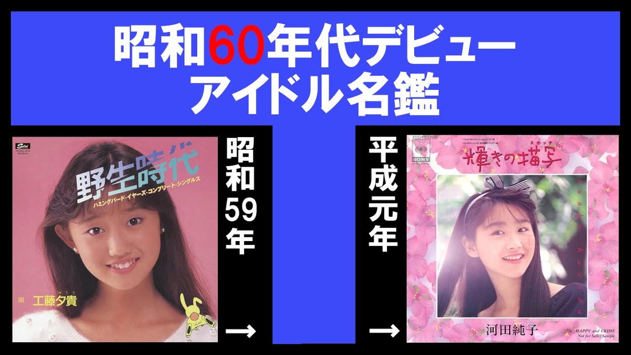 昭和60年代デビュー・アイドル名鑑
