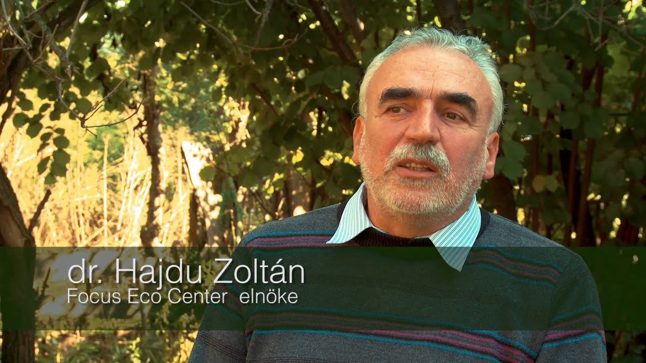 A Ny&aacute;r&aacute;d foly&oacute; dr&aacute;m&aacute;ja