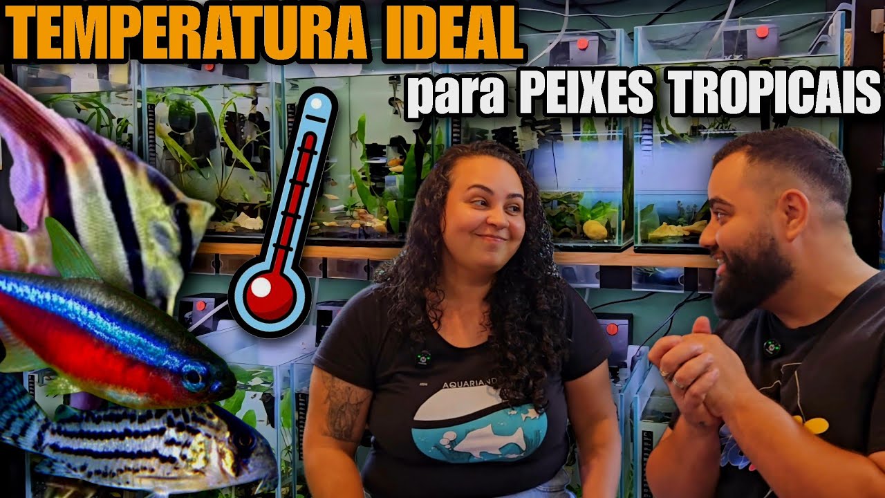 TEMPERATURA IDEAL PARA PEIXES TROPICAIS - DICAS PARA INICIANTES