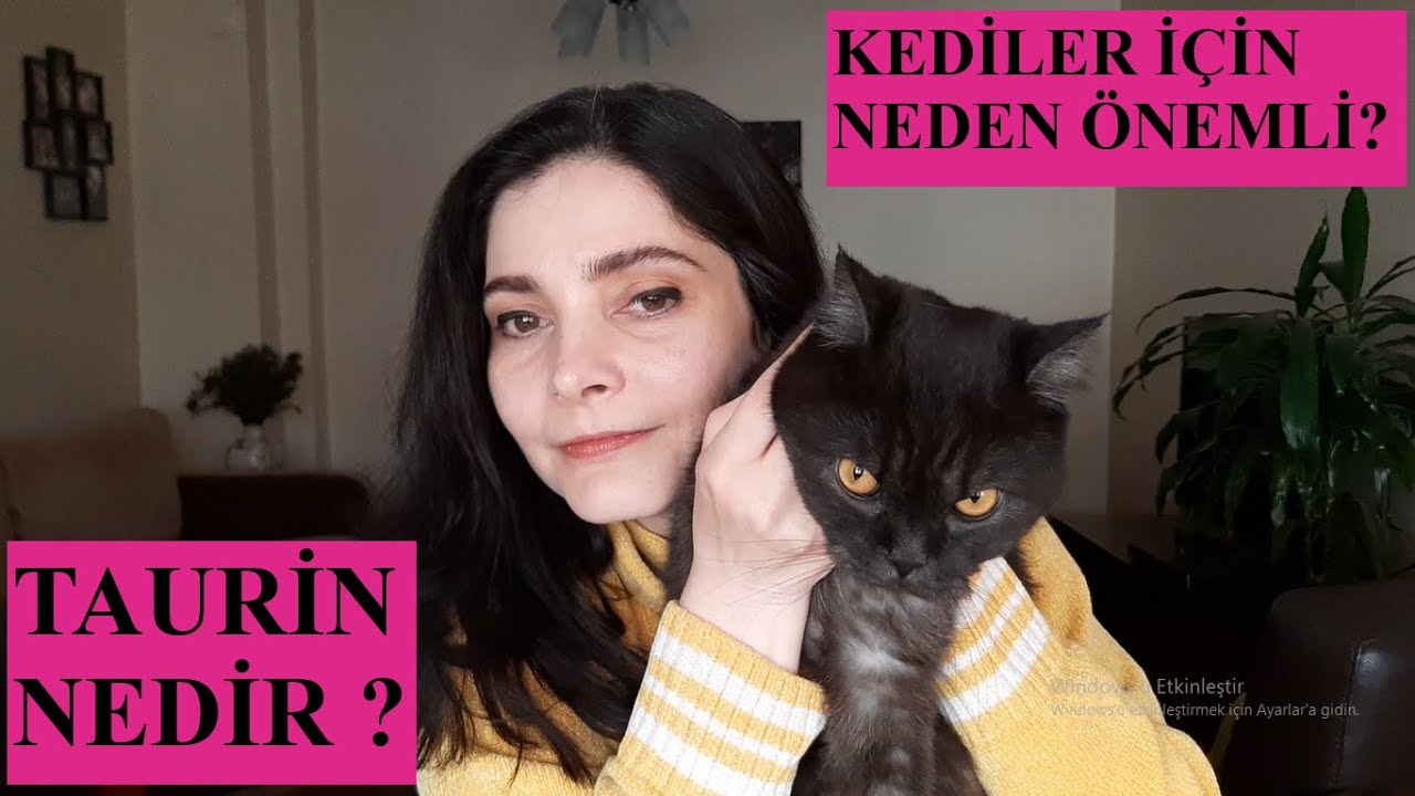 Taurin nedir | Kediler için taurin önemli | Taurin kedi | Kedi mamasında taurin | Taurin takviye