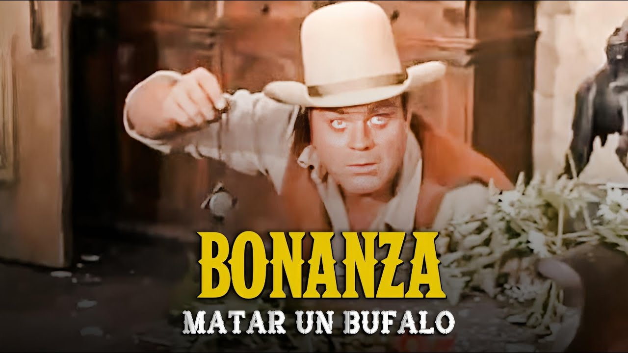 Bonanza | Capitulo 136 | Matar Un Búfalo | Capítulo Completoa