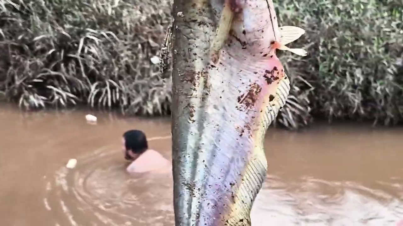 MENCARI IKAN WAKTU SENJA, TIDAK PEDULI ADA BUAYA