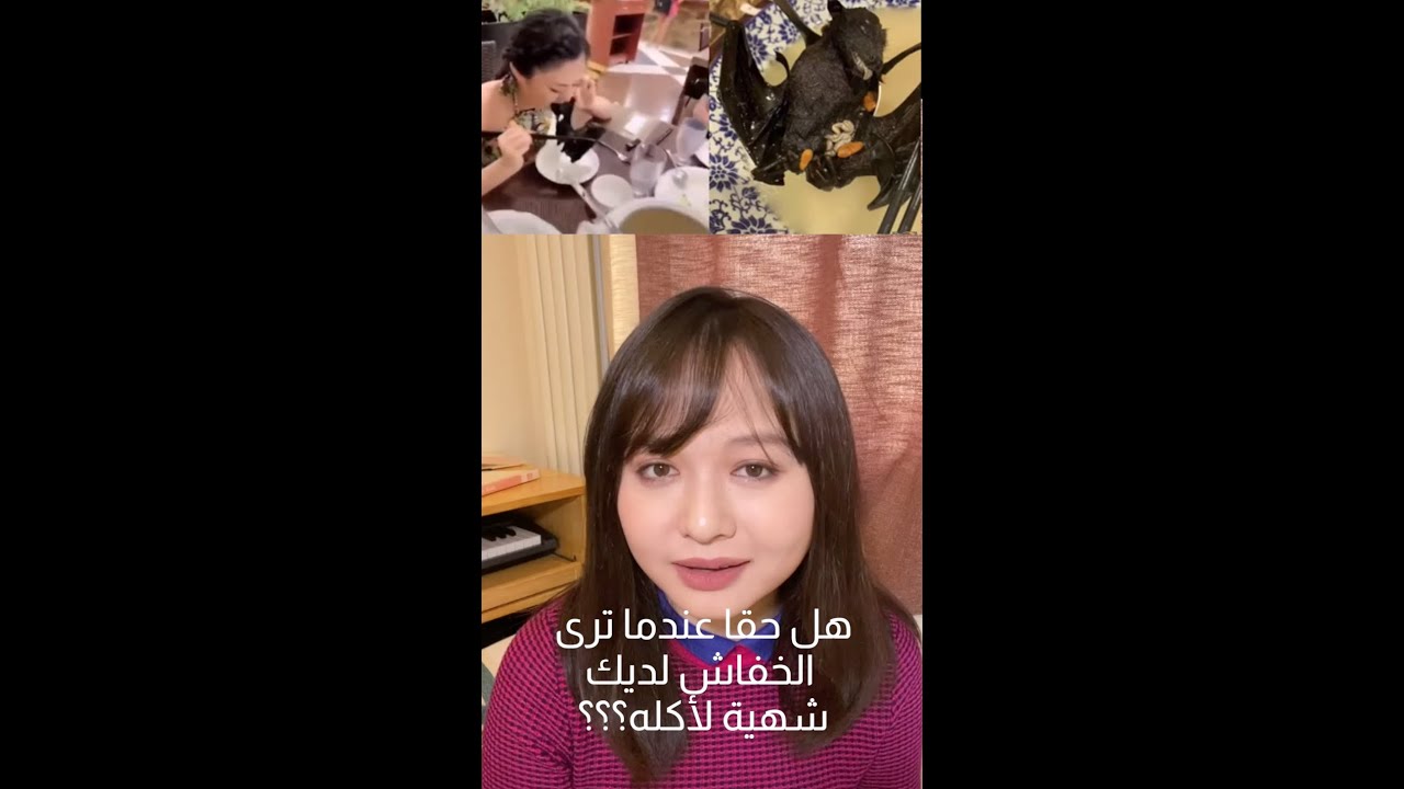 🦇💥فتاة صينية تقصف جبهة الصينين الذين يأكلون الخفافيش